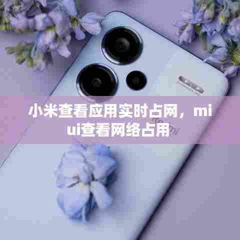小米查看应用实时占网,miui查看网络占用
