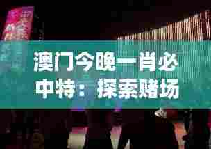 澳门今晚一肖必中特:探索赌场灯光秀幕后