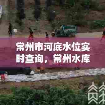 常州市河底水位实时查询，常州水库水位 
