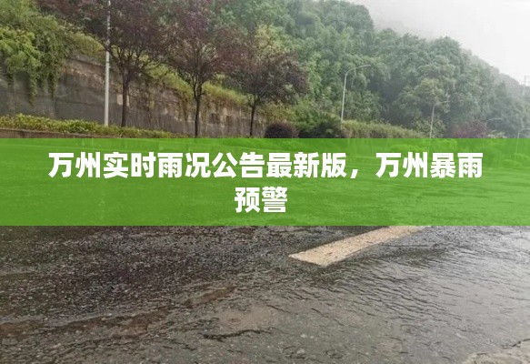 万州实时雨况公告最新版,万州暴雨预警
