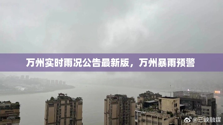 万州实时雨况公告最新版,万州暴雨预警