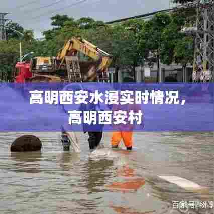 高明西安水浸实时情况，高明西安村 