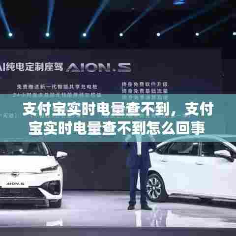 支付宝实时电量查不到,支付宝实时电量查不到怎么回事