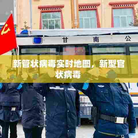 新管状病毒实时地图，新型官状病毒 