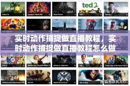 实时动作捕捉做直播教程，实时动作捕捉做直播教程怎么做 