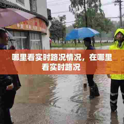 哪里看实时路况情况，在哪里看实时路况 