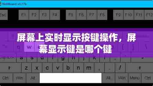 屏幕上实时显示按键操作,屏幕显示键是哪个键