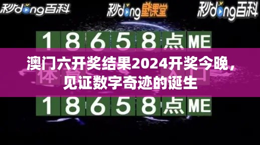 澳门六开奖结果2024开奖今晚,见证数字奇迹的诞生
