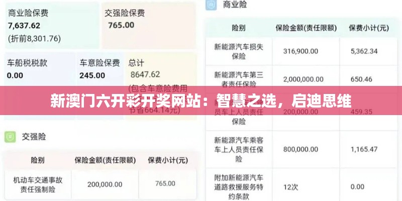新澳门六开彩开奖网站:智慧之选,启迪思维