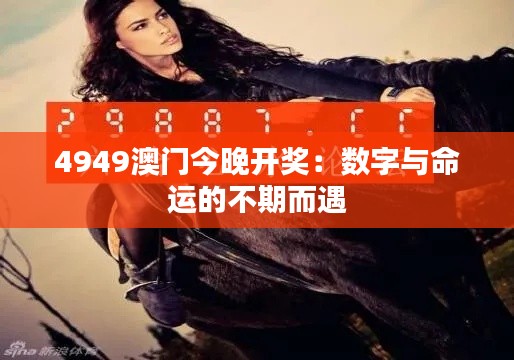 4949澳门今晚开奖：数字与命运的不期而遇