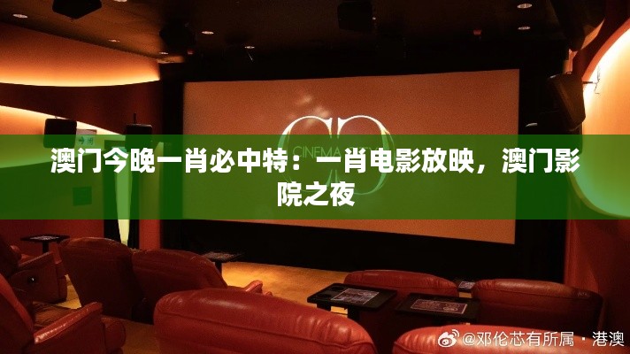 澳门今晚一肖必中特:一肖电影放映,澳门影院之夜