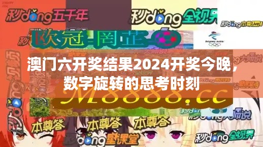 澳门六开奖结果2024开奖今晚，数字旋转的思考时刻