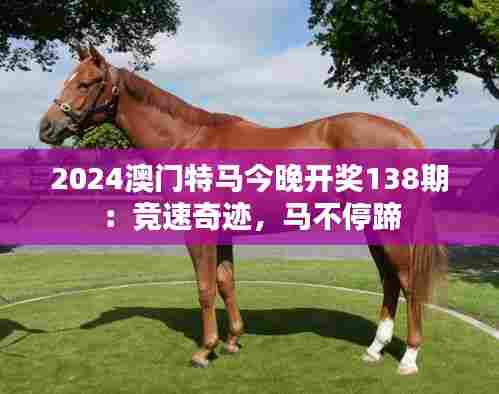 2024澳门特马今晚开奖138期：竞速奇迹，马不停蹄