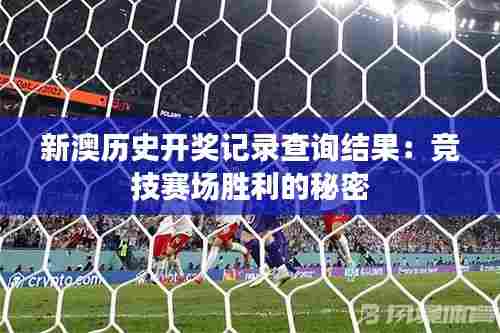 新澳历史开奖记录查询结果:竞技赛场胜利的秘密