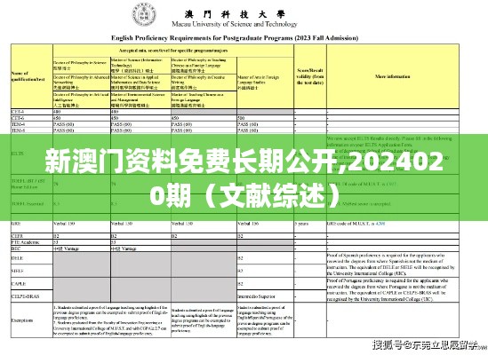 新澳门资料免费长期公开,2024020期（文献综述）