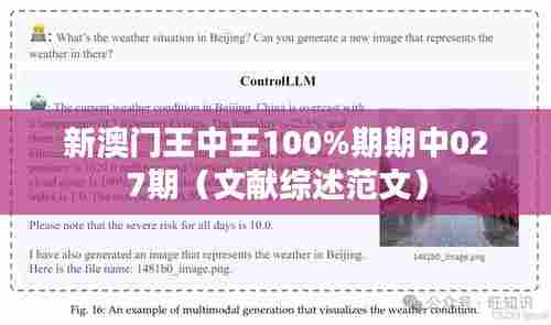 新澳门王中王100%期期中027期(文献综述范文)