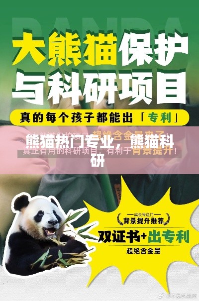 纲挈目张 第7页