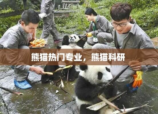 熊猫热门专业,熊猫科研