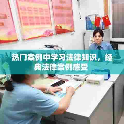热门案例中学习法律知识,经典法律案例感受