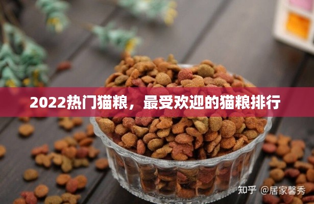 2022热门猫粮,最受欢迎的猫粮排行