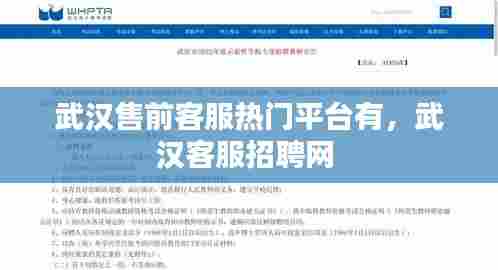 武汉售前客服热门平台有，武汉客服招聘网 