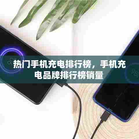 热门手机充电排行榜，手机充电品牌排行榜销量 