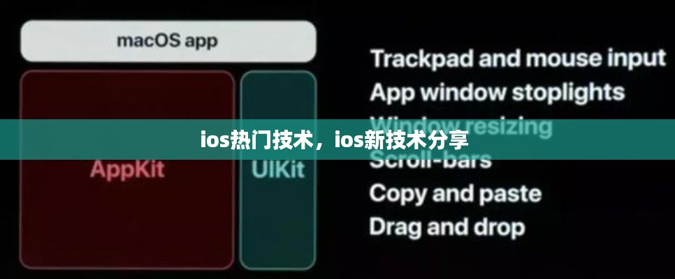 ios热门技术,ios新技术分享