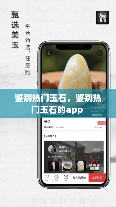 鉴别热门玉石,鉴别热门玉石的app