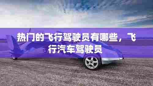 热门的飞行驾驶员有哪些,飞行汽车驾驶员