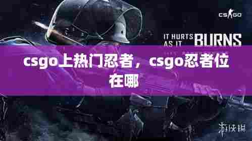 csgo上热门忍者，csgo忍者位在哪 