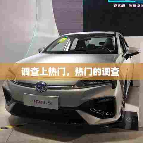 调查上热门，热门的调查 