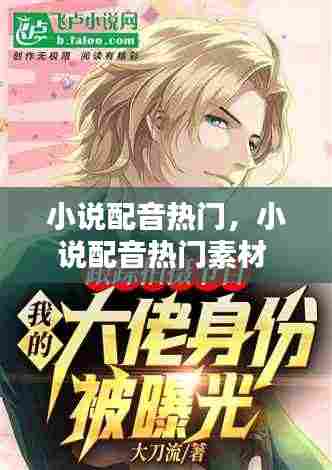 小说配音热门,小说配音热门素材