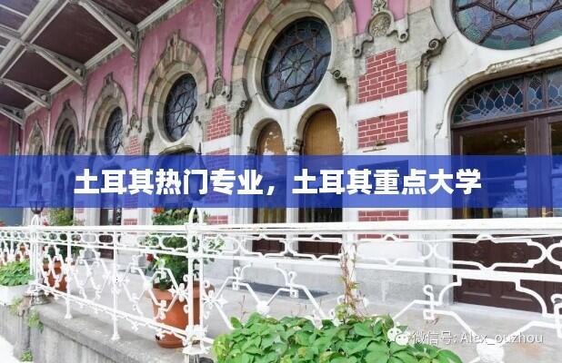土耳其热门专业,土耳其重点大学