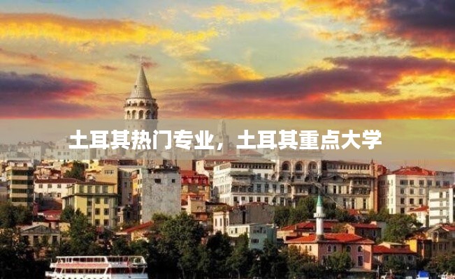 土耳其热门专业,土耳其重点大学