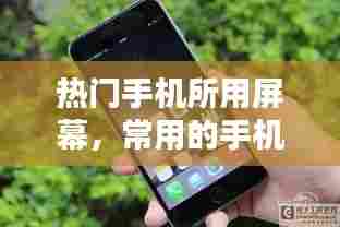 热门手机所用屏幕，常用的手机屏幕 