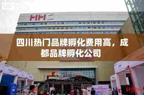 四川热门品牌孵化费用高,成都品牌孵化公司