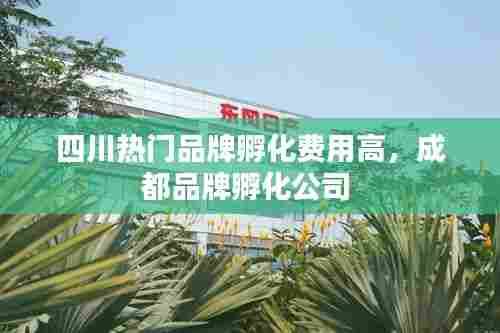 四川热门品牌孵化费用高,成都品牌孵化公司