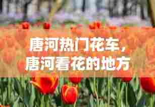 唐河热门花车,唐河看花的地方