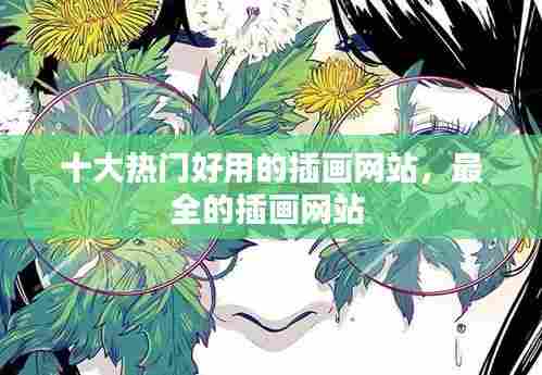 十大热门好用的插画网站，最全的插画网站 