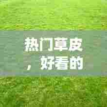 热门草皮,好看的草皮