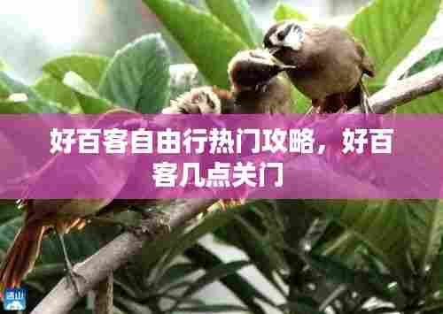 好百客自由行热门攻略,好百客几点关门