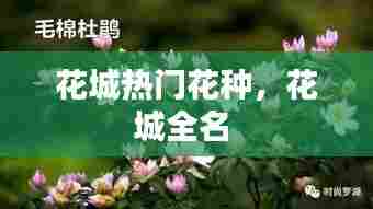花城热门花种，花城全名 