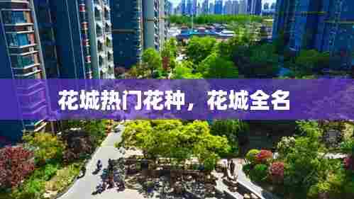 花城热门花种,花城全名