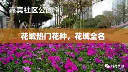 花城热门花种,花城全名