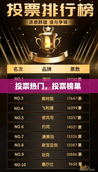 投票热门,投票榜单