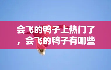 会飞的鸭子上热门了,会飞的鸭子有哪些种类