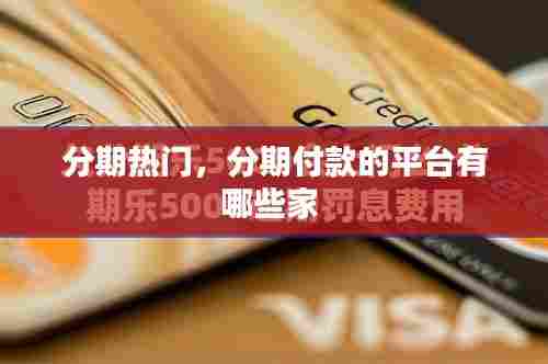 分期热门,分期付款的平台有哪些家