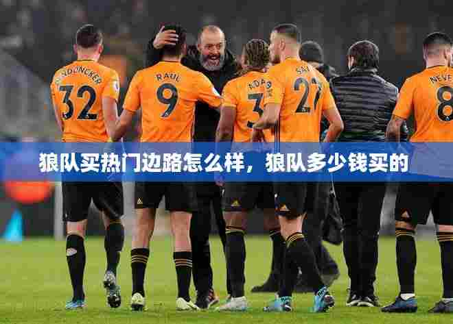 狼队买热门边路怎么样，狼队多少钱买的 