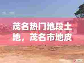 茂名热门地段土地,茂名市地皮出售最新信息