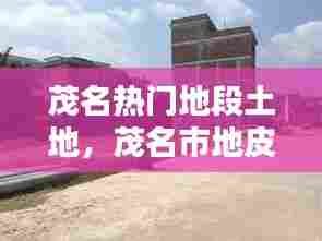 茂名热门地段土地,茂名市地皮出售最新信息